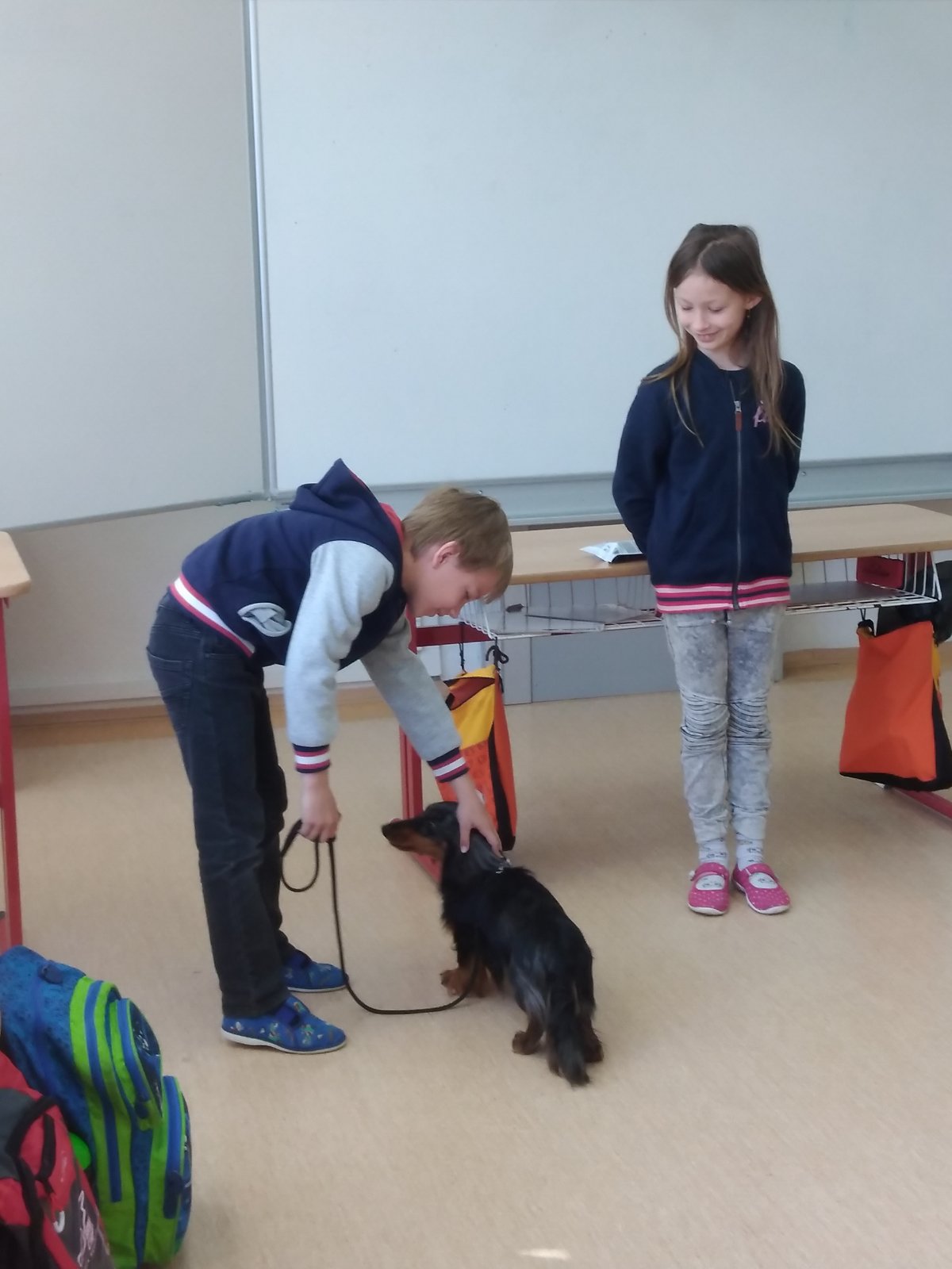 Zvířátkový den ve 2.D