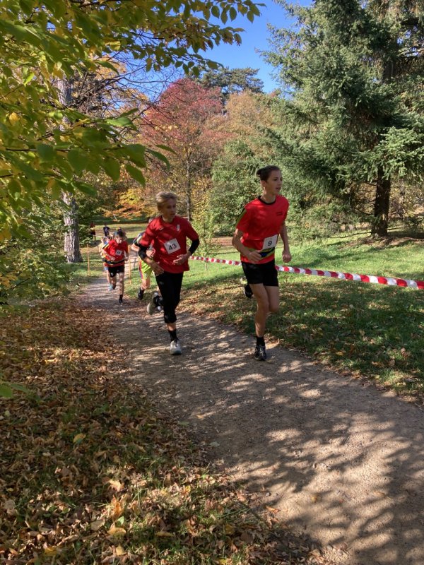 Přespolní běh - krajské kolo - žáci 2.st.