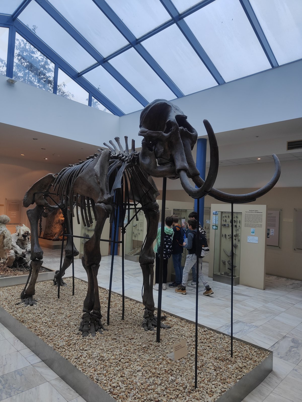 Anthropos a planetárium Brno - 6BEA