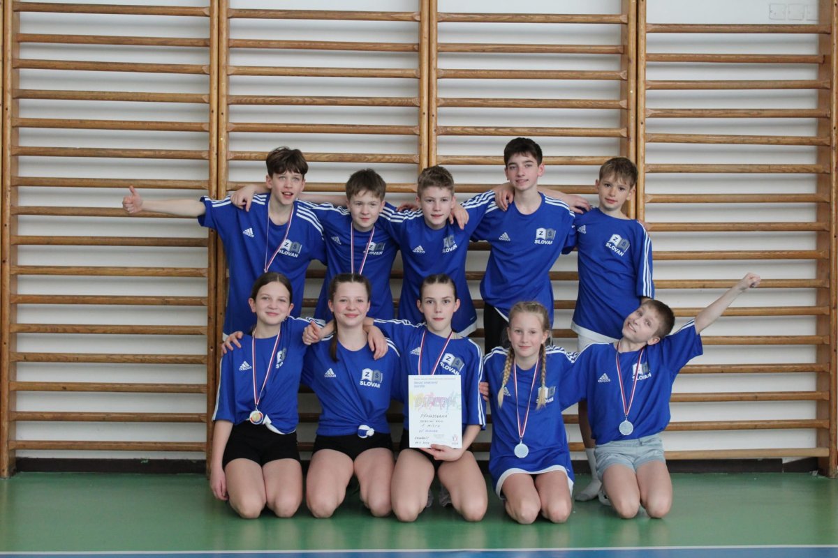 Okresní kolo v přehazované