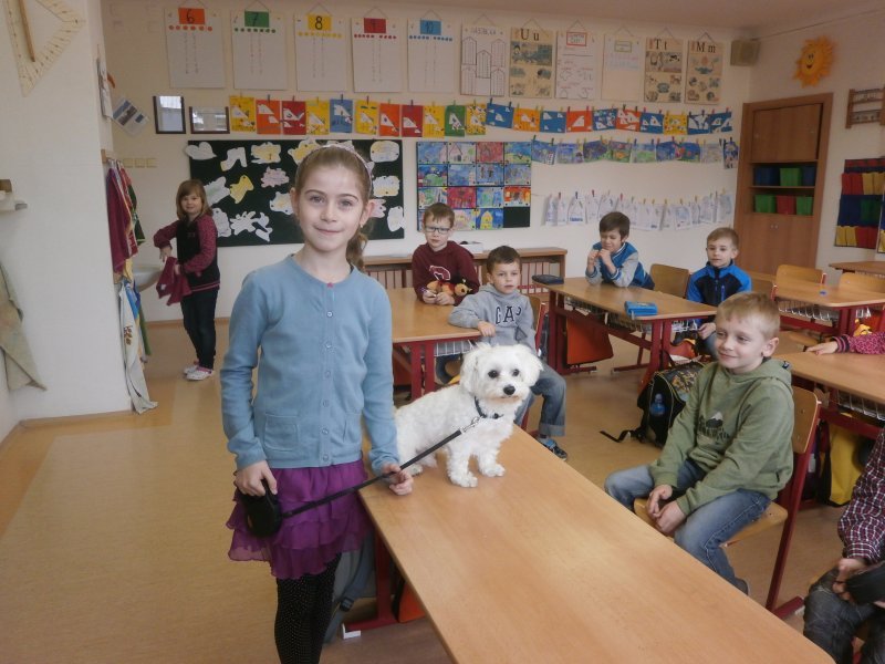 Zvířecí mazlíčci ve II.D