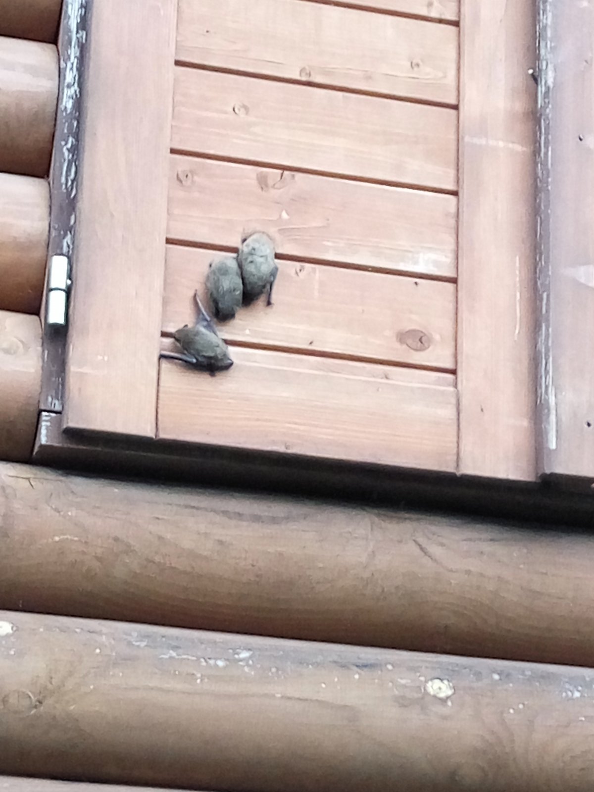 VII.C na Kamínkách