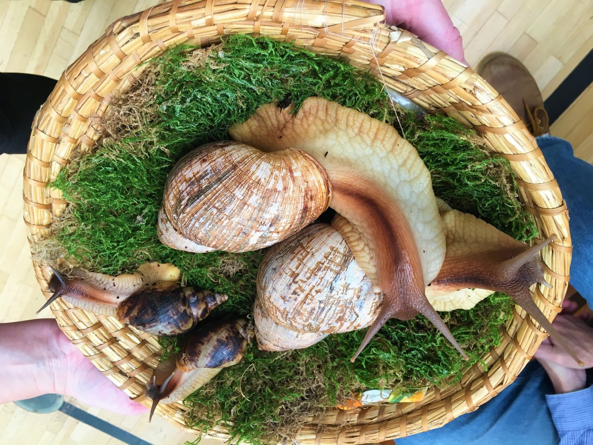 Exotická zvířátka