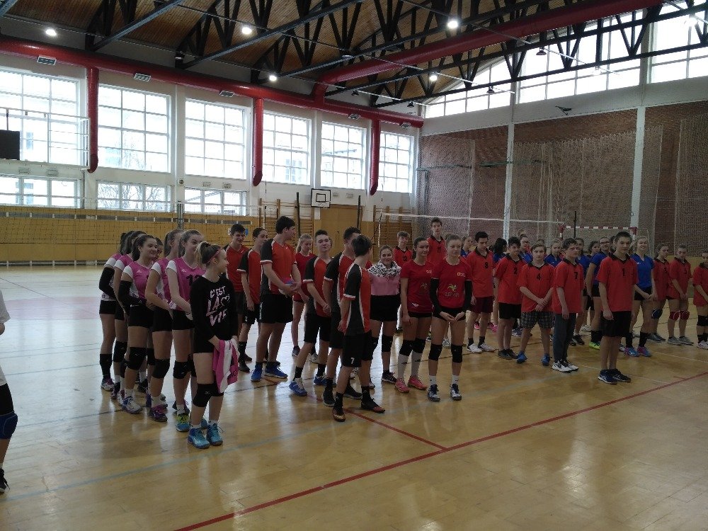 Volejbal - okresní kolo