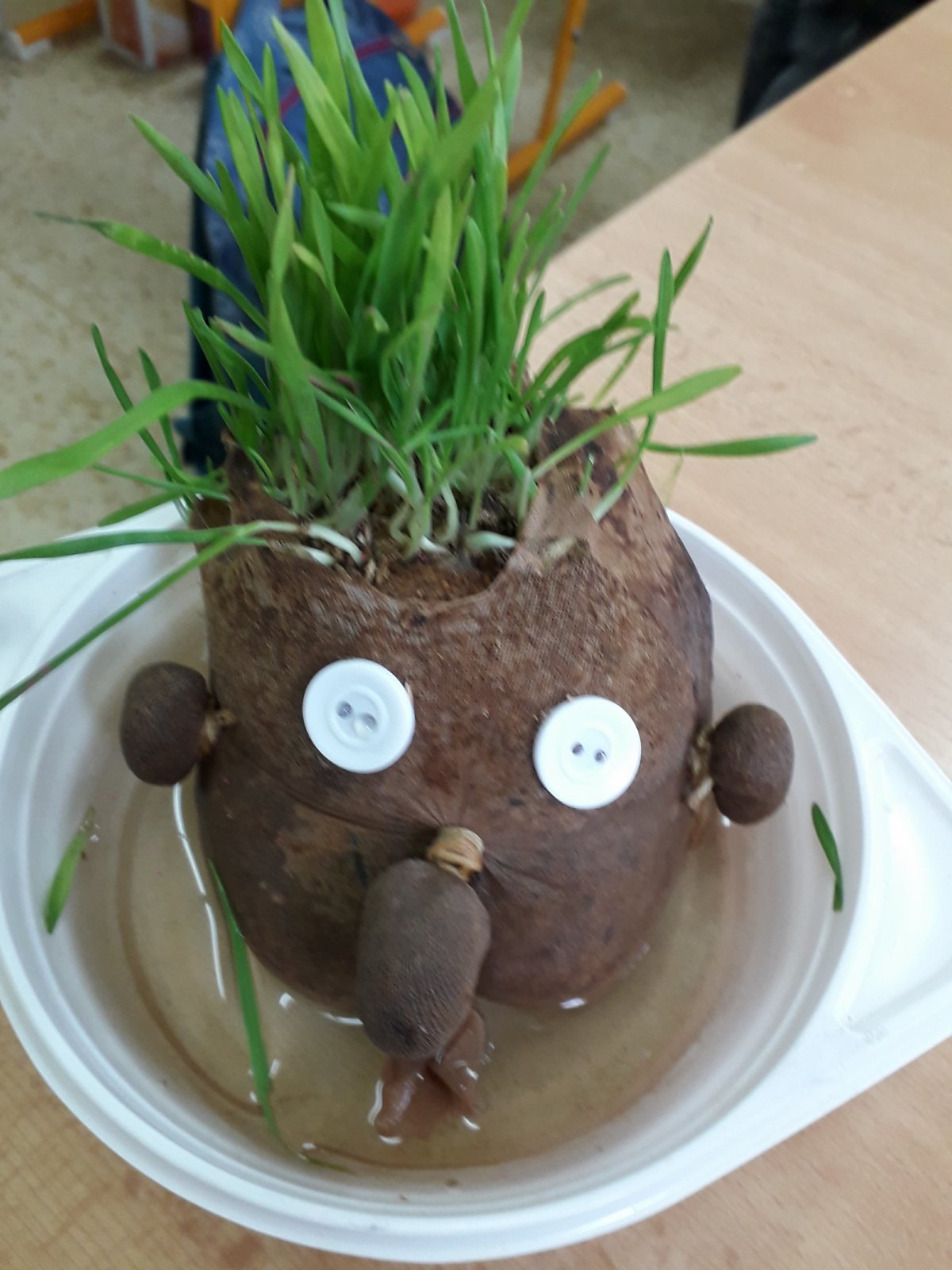 Pracovní výchova v 5.B