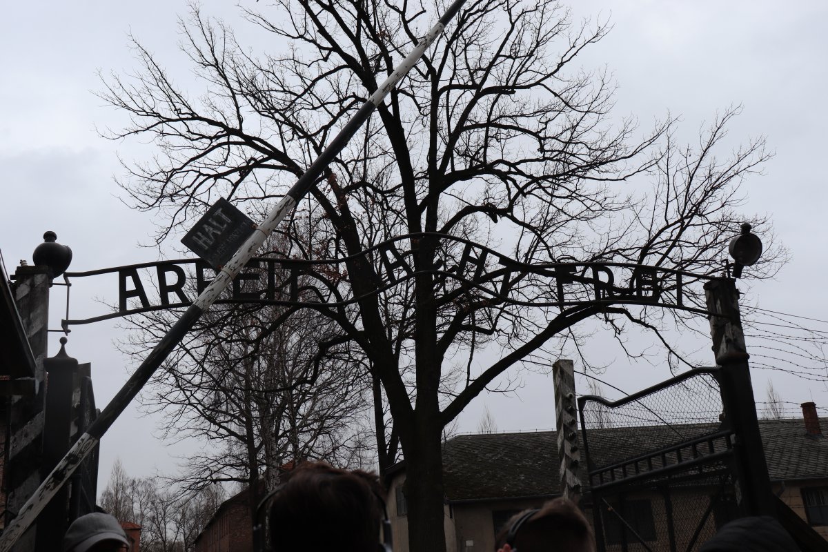 Osvětim - 9. ročník