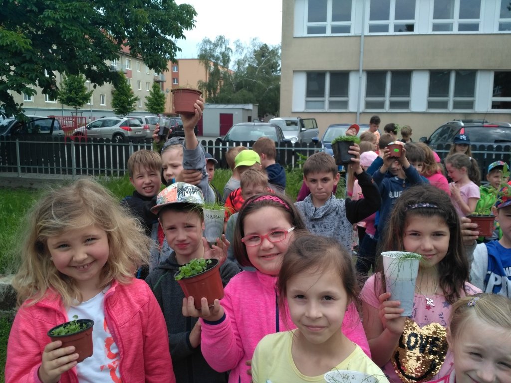 Práce dětí ze školního klubu na pozemku