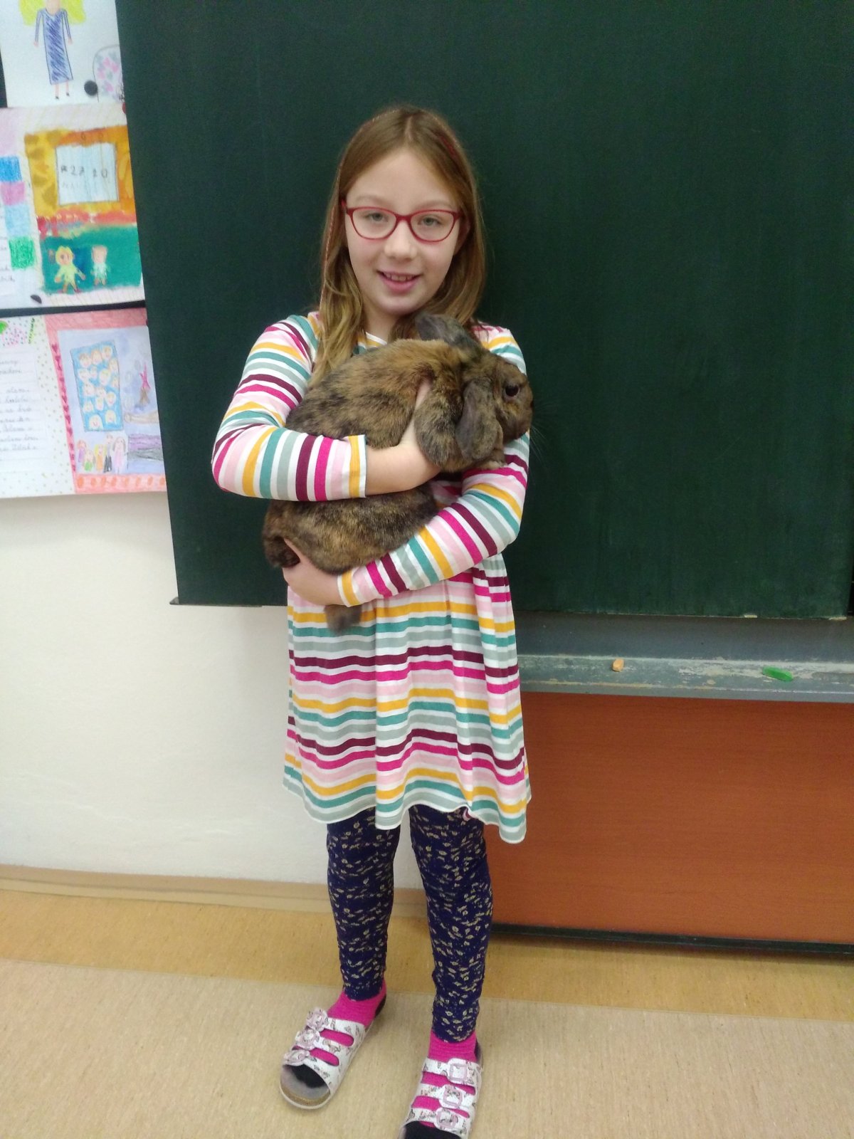 "Zvířecí mazlíčci ve 2.D"