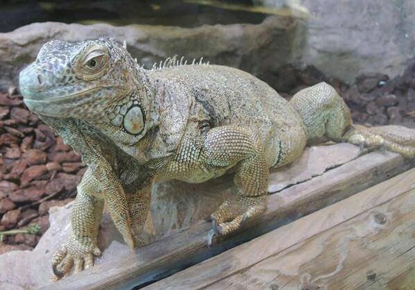 Přírodovědná exkurze Vídeň 2014