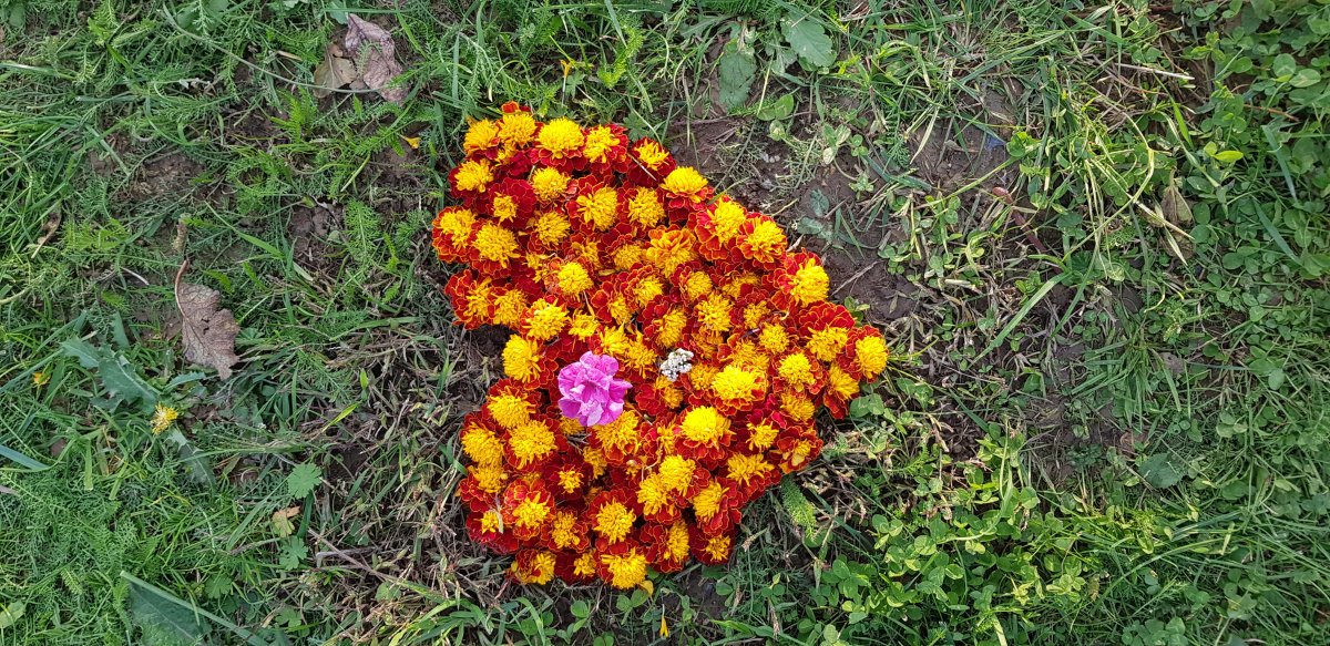 Distanční výuka - výtvarná výchova:  8. ročník Land art