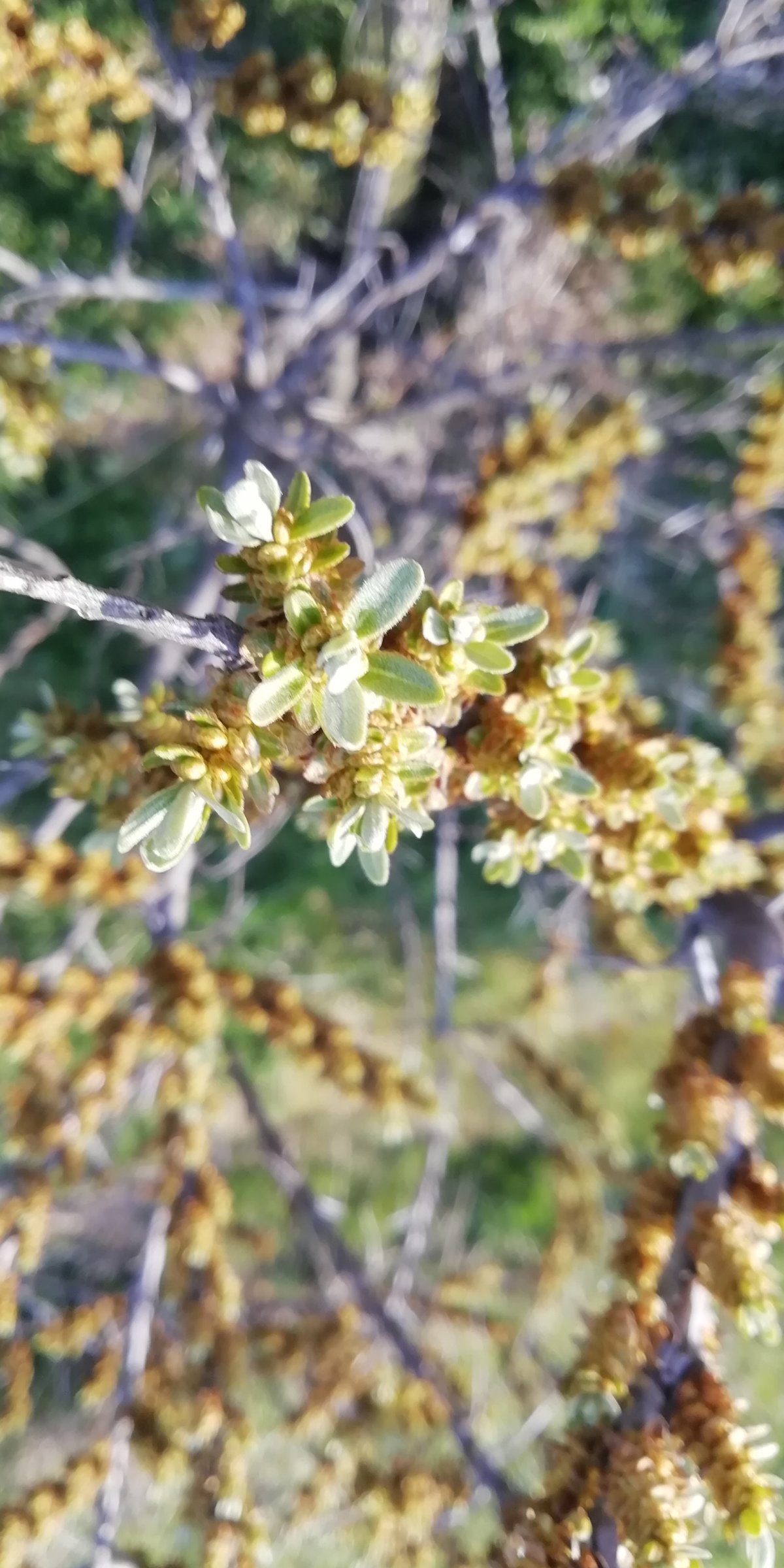 Distanční výtvarná výchova - JARO - fotografie žáků 2.stupně