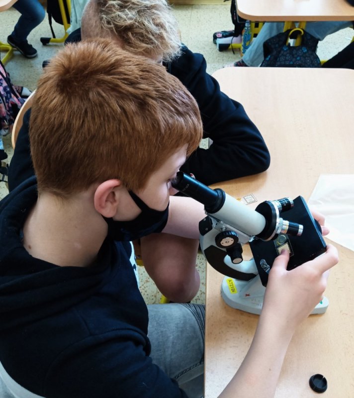 Mikroskopování - třída 6.C